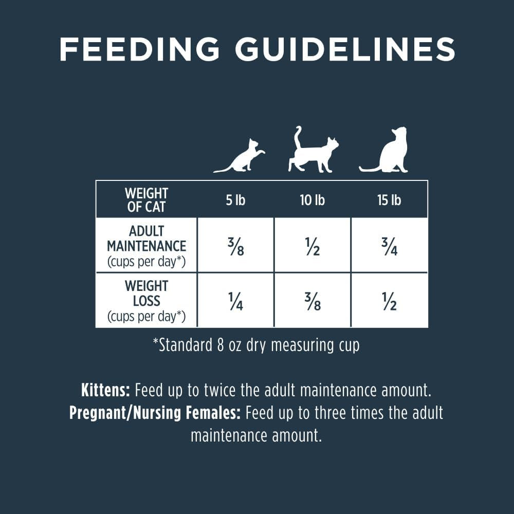 Raw Boost High Protein Grain-Free Cat Food with Freeze-Dried Chicken Pieces - 10 lb Bag