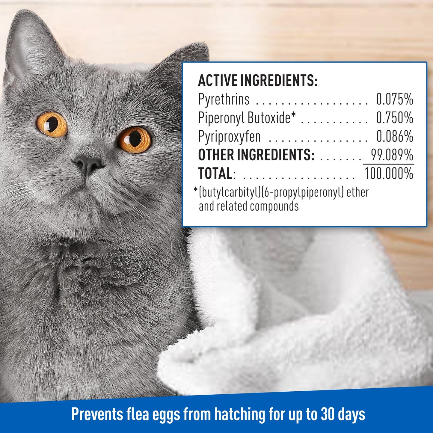 Flea & Tick Cleansing Shampoo for Cats and Kittens - Unscented Treatment, 12 Ounces