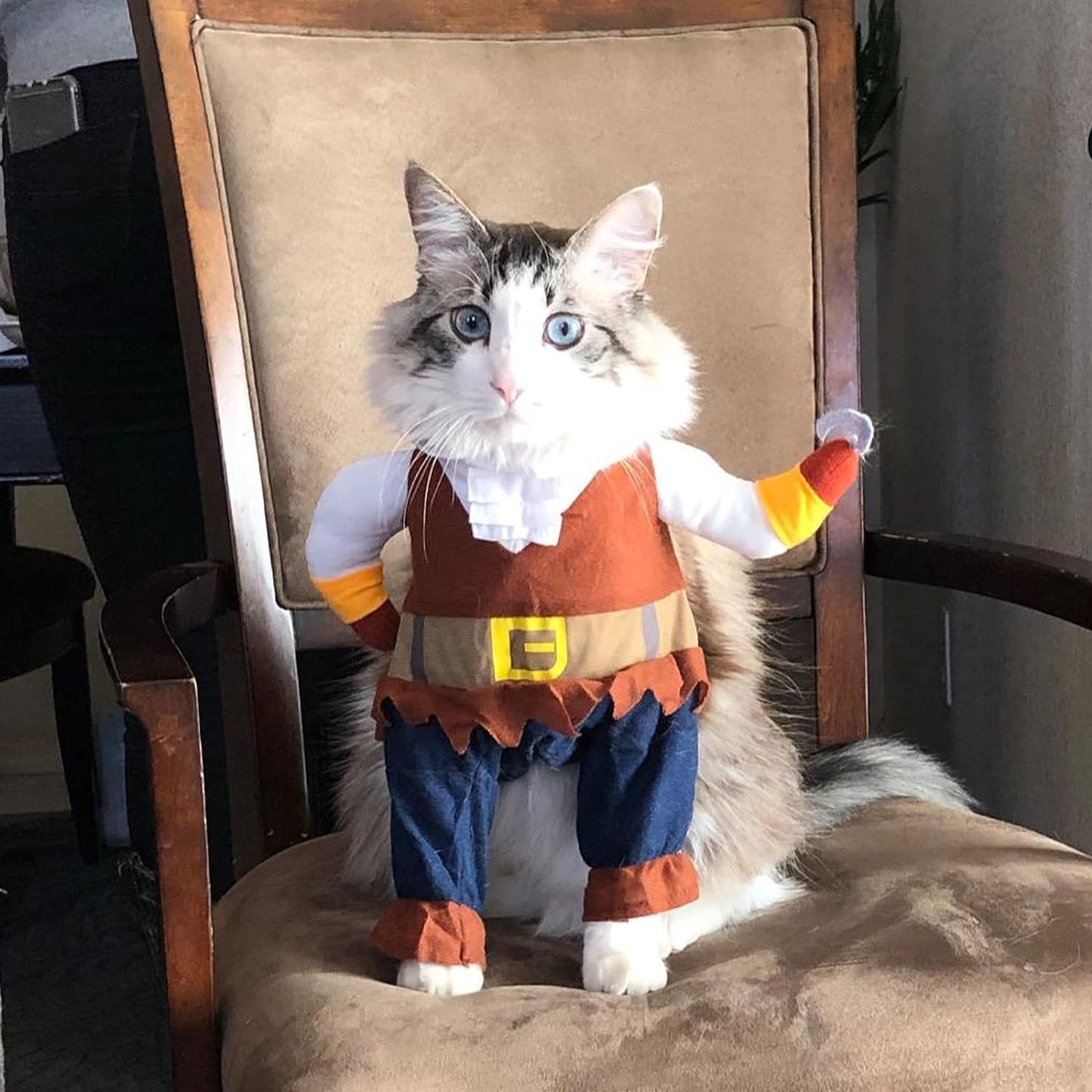 Adorable Caribbean Pirate Costume for Cats - Fun Halloween & Christmas Outfit with Hat!