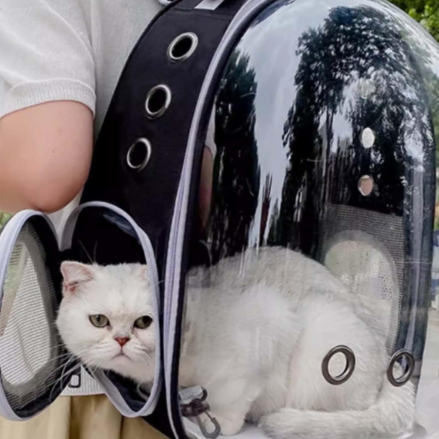 Airline Approved Cat Backpack Carrier - Stylish Black Pet Travel Bag