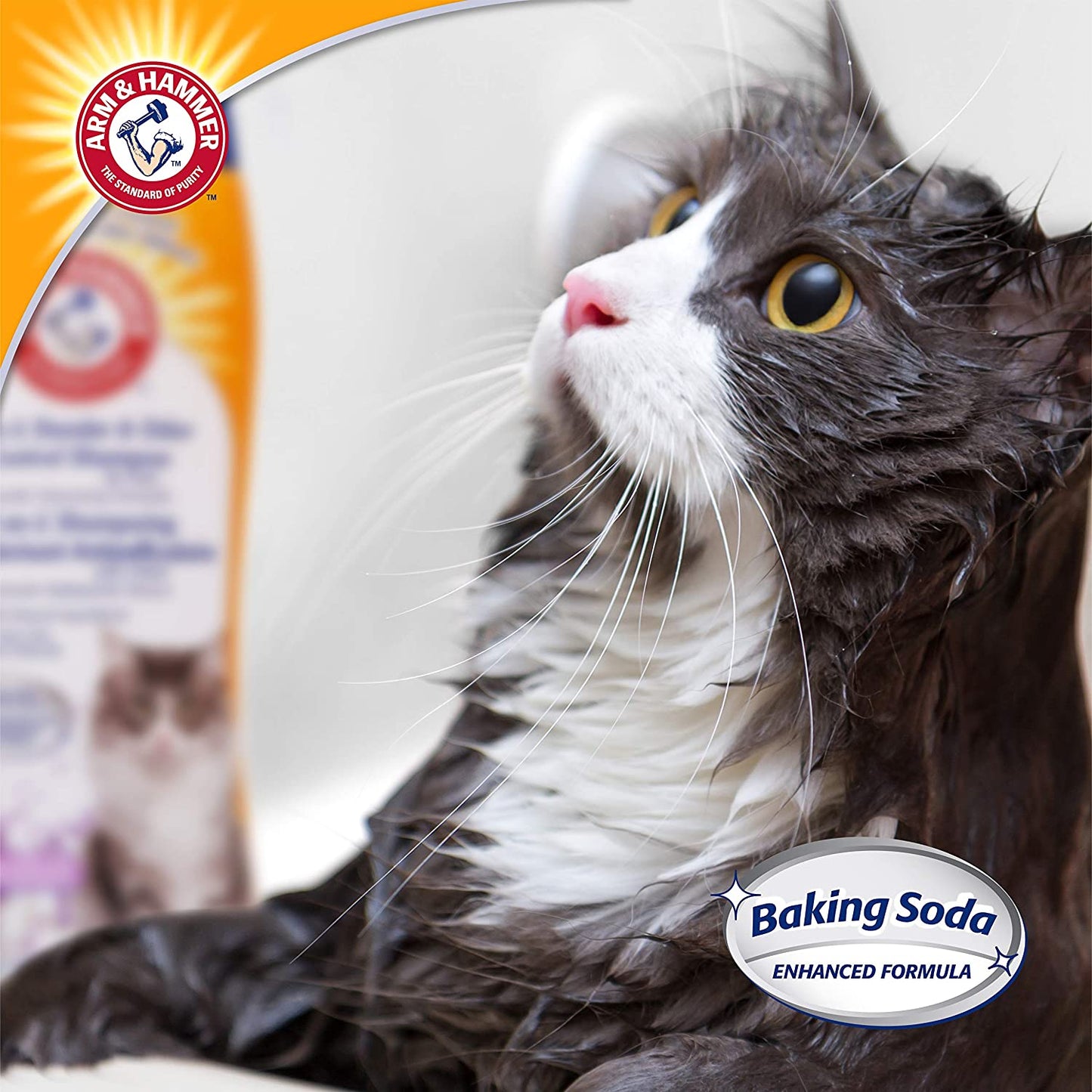 Arm & Hammer 2-in-1 Cat Shampoo & Deodorizer – 20 fl oz
