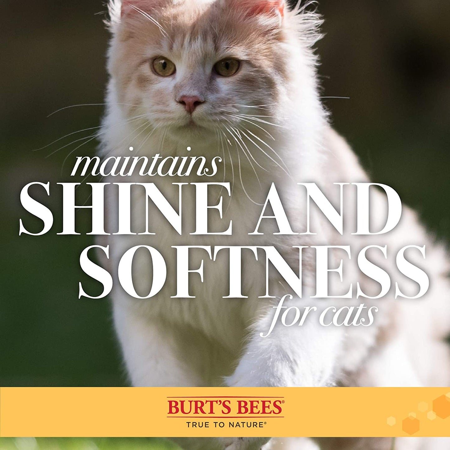 Slicker Brush for Cats | Removes Loose Fur, Prevents Matting & Promotes a Shiny Coat