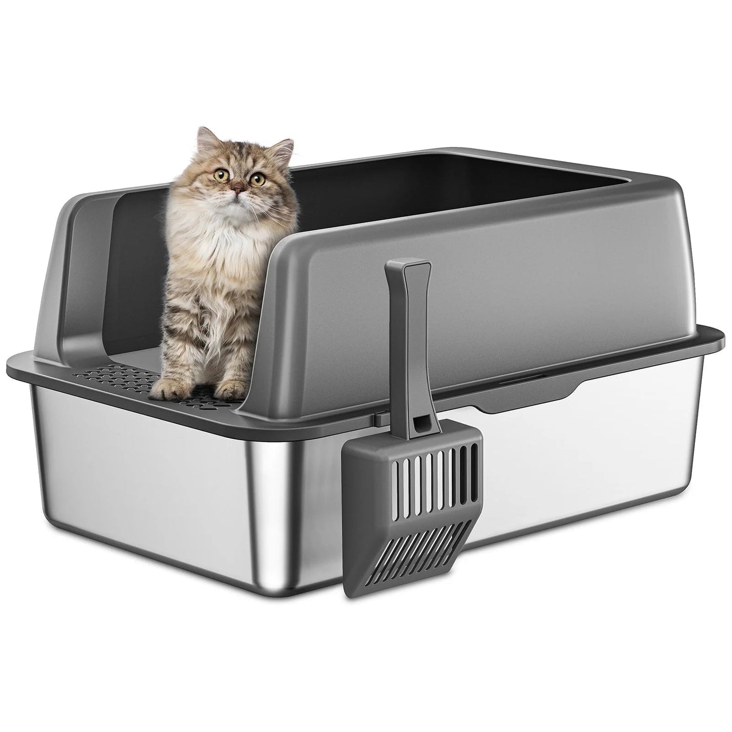 Cat Litter