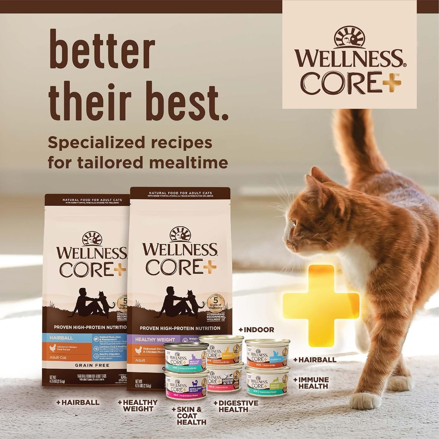 CORE+ Grain-Free Indoor Cat Food - Natural Chicken & Turkey Recipe (5 lb Bag)