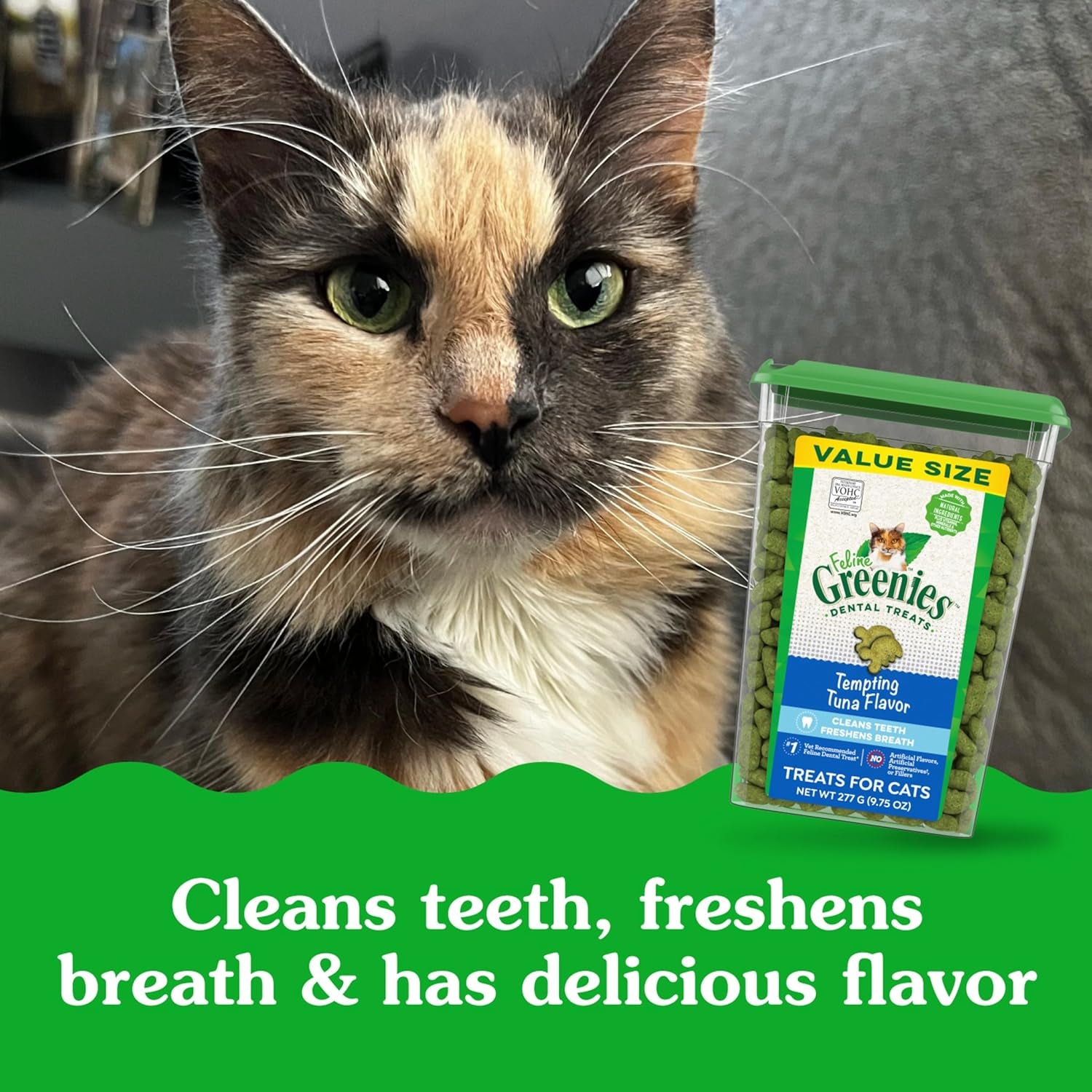 Delicious Tempting Tuna Dental Cat Treats - 9.75 Oz for Healthy Teeth & Fresh Breath!