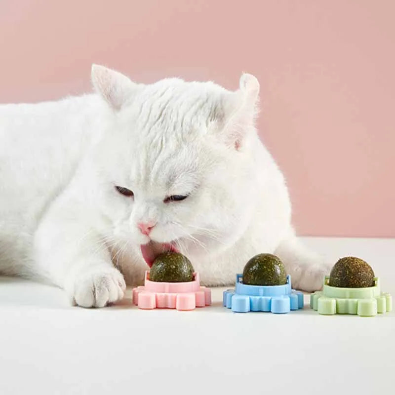Natural Catnip Toy Ball with Dust Cover – Hairball Removal & Digestion Aid