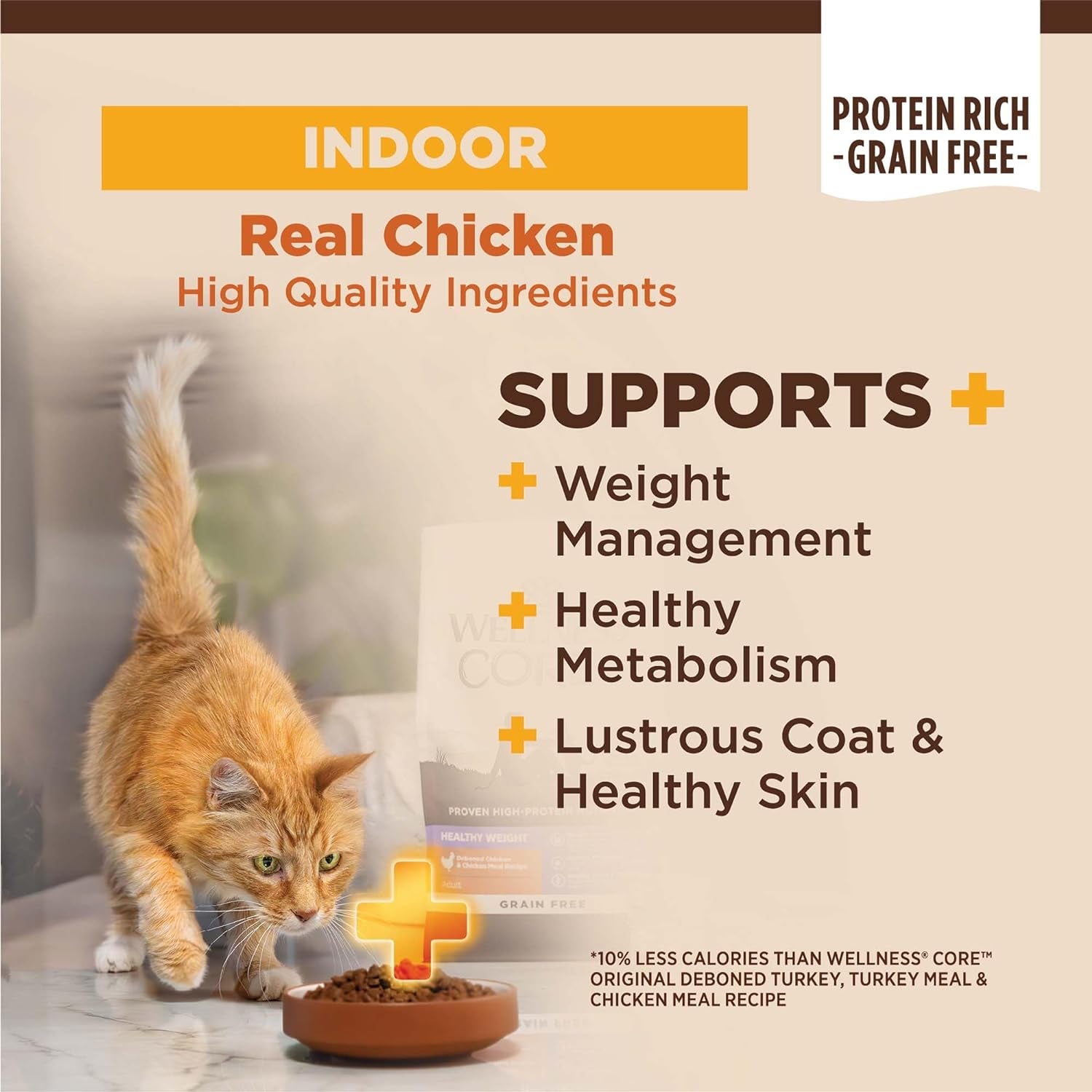 CORE+ Grain-Free Indoor Cat Food - Natural Chicken & Turkey Recipe (5 lb Bag)