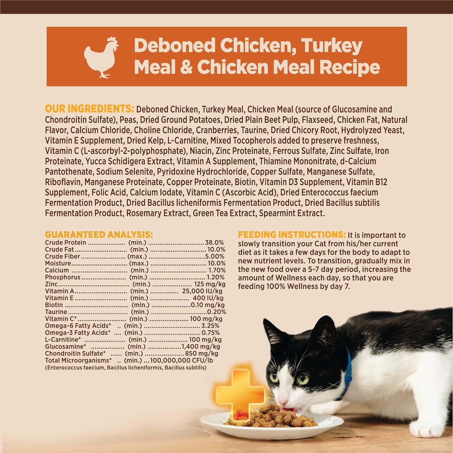 CORE+ Grain-Free Indoor Cat Food - Natural Chicken & Turkey Recipe (5 lb Bag)