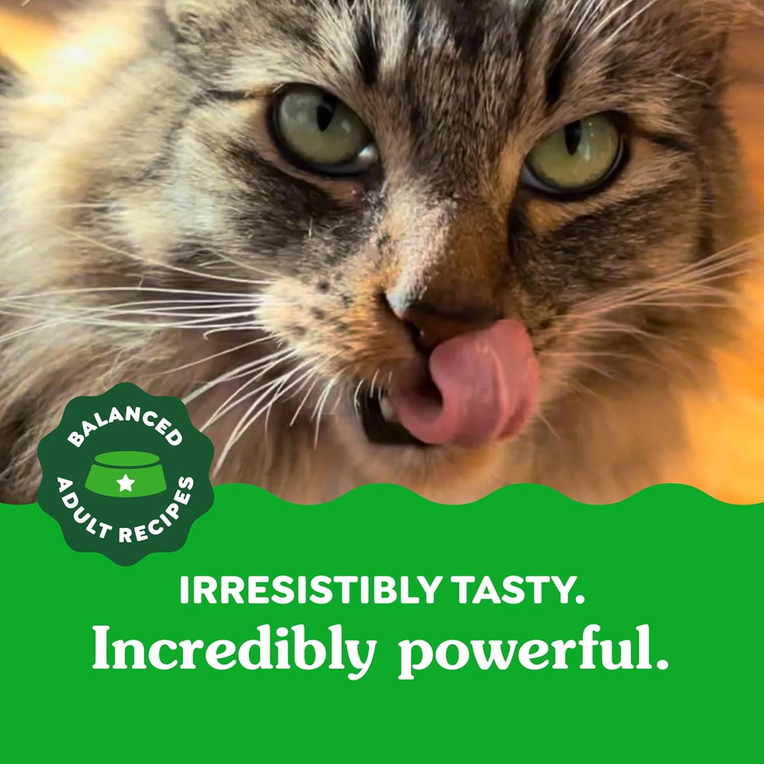 Delicious Tempting Tuna Dental Cat Treats - 9.75 Oz for Healthy Teeth & Fresh Breath!