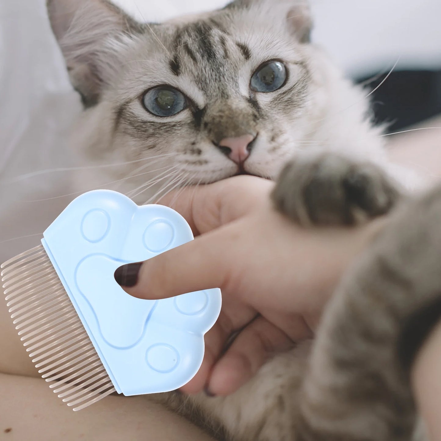 2-Pack Cat Grooming Combs – Essential Grooming Tools for Indoor Cats