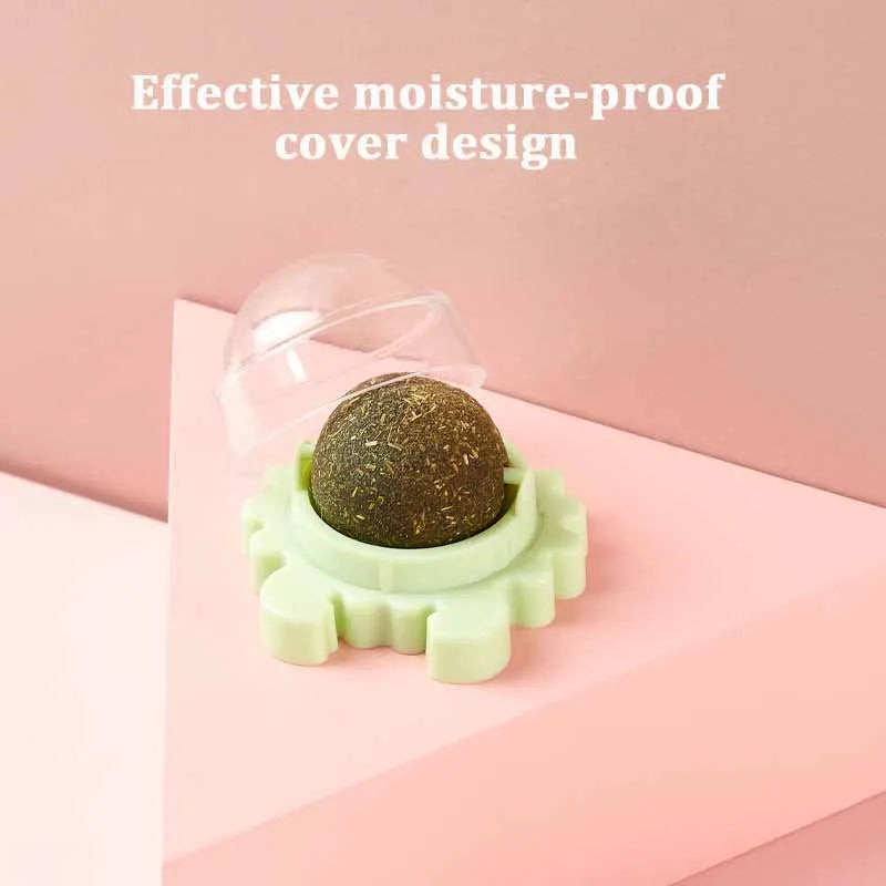 Natural Catnip Toy Ball with Dust Cover – Hairball Removal & Digestion Aid