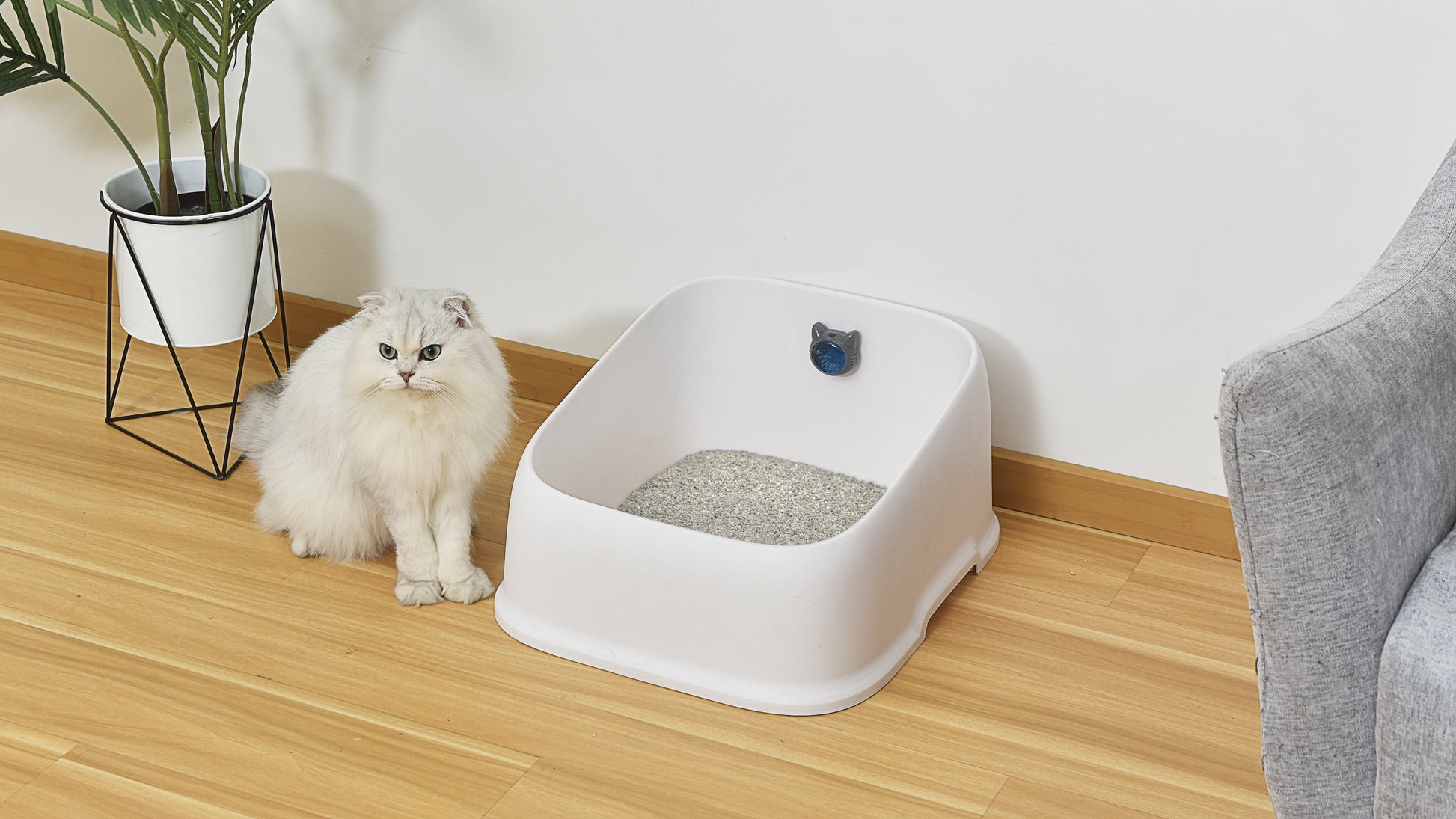Fresh Step Litter Box Deodorizing Gel Pods – 1 Adhesive Pod + 2 Refills