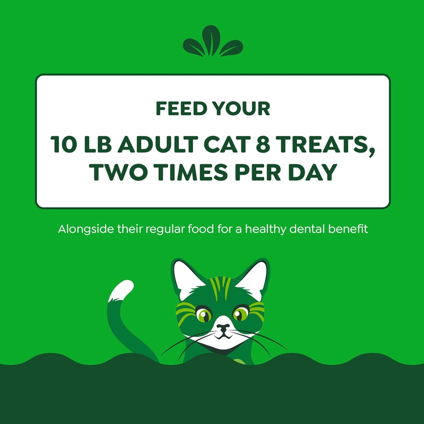 Delicious Tempting Tuna Dental Cat Treats - 9.75 Oz for Healthy Teeth & Fresh Breath!