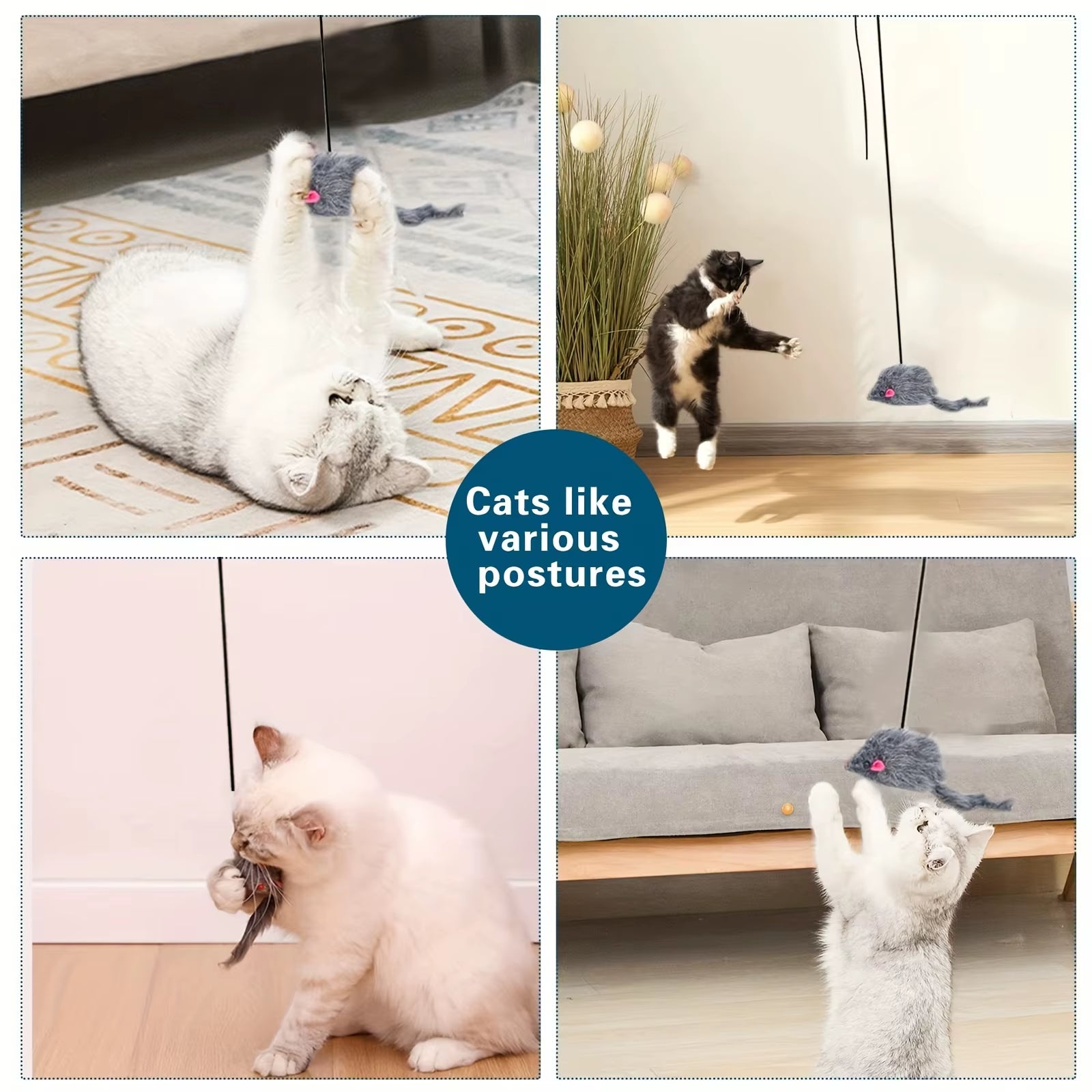 Door Hanging Cat Toy – Interactive Toy for Cats and Kittens