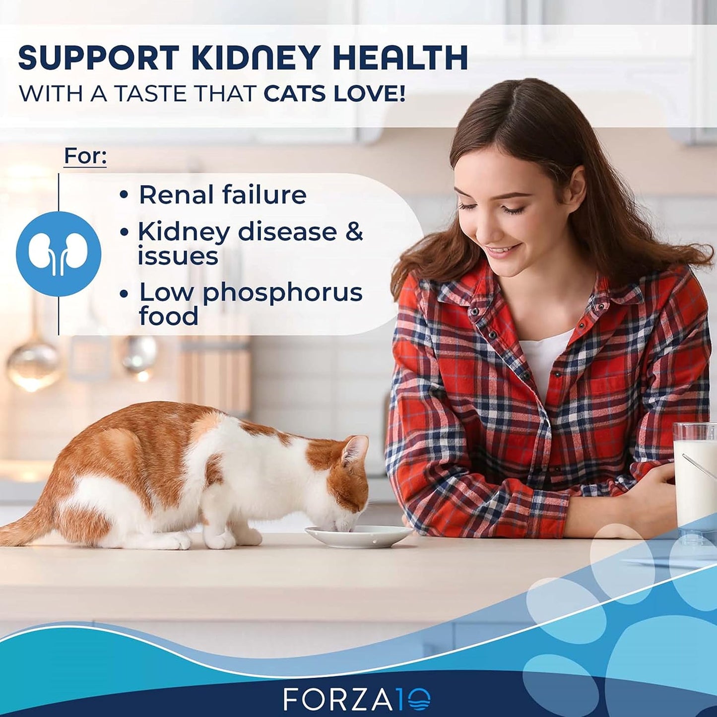 Premium Kidney Care Cat Food - Vet-Formulated Renal Support with Tender Lamb, 3.5 Oz Cans, 32 Pack