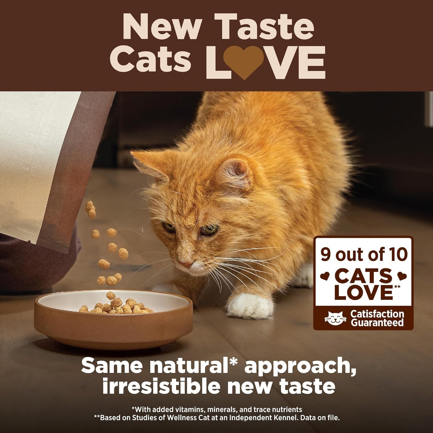 CORE+ Grain-Free Indoor Cat Food - Natural Chicken & Turkey Recipe (5 lb Bag)