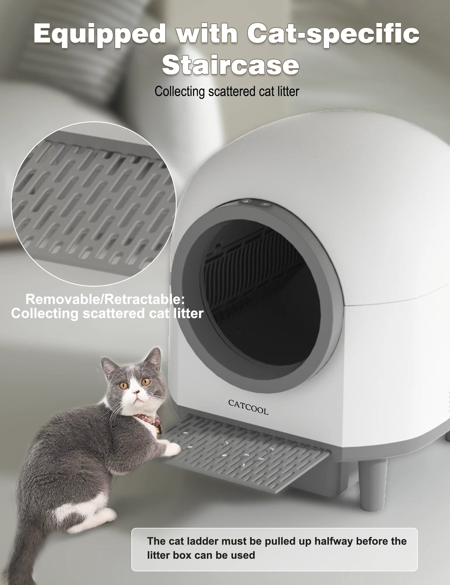 OMCPET 100L Large Self-Cleaning Cat Litter Box – Smart, Safe, and Made for Multi-Cat Homes