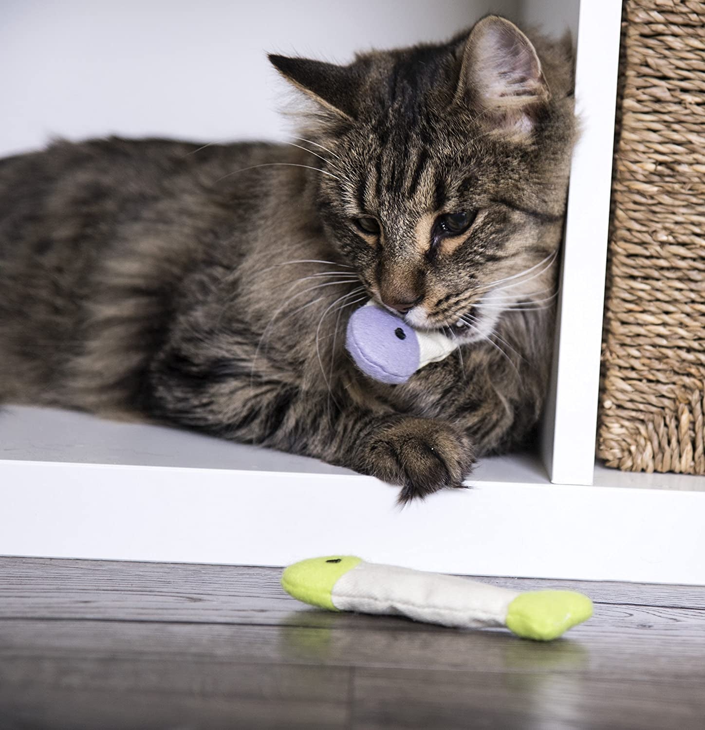  3-Pack Fish Flop Crinkle Catnip Toys – Multi-Color, Lightweight & Irresistible