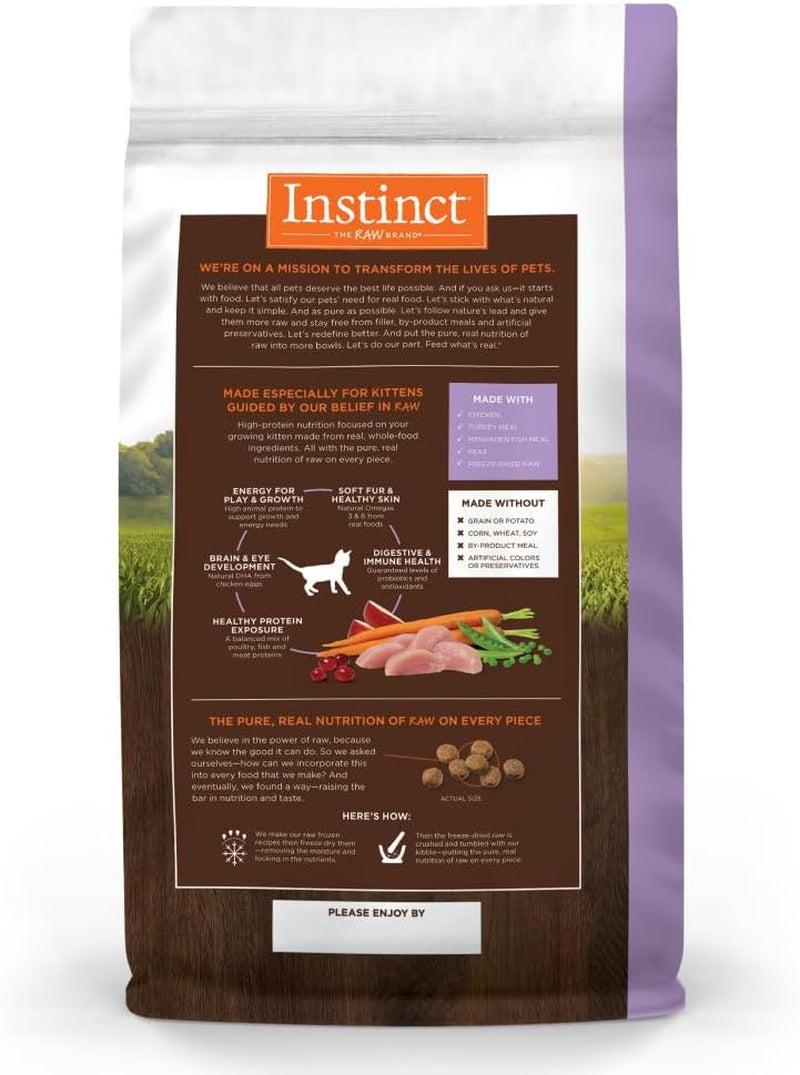 Premium Grain-Free Kitten Dry Cat Food - High Protein Raw Coated Kibble with Real Chicken, 4.5 Lb Bag