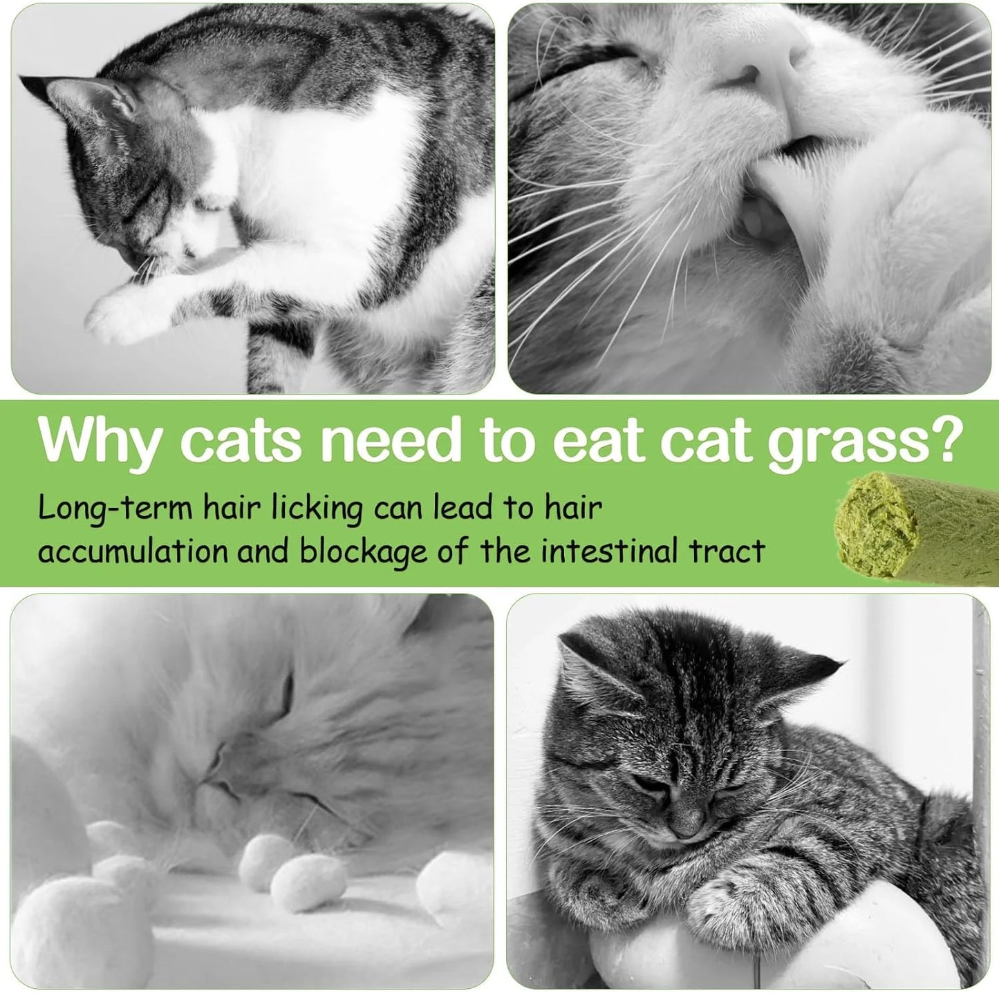 Natural Cat Grass Teething Sticks - 50g Edible Treats for Dental Care & Hairball Relief