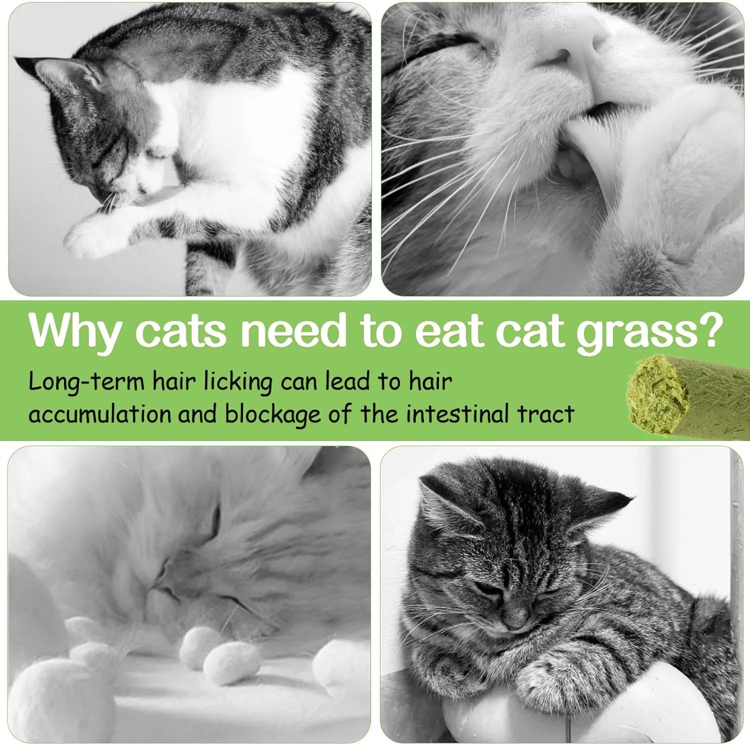 Natural Cat Grass Teething Sticks - 50g Edible Treats for Dental Care & Hairball Relief