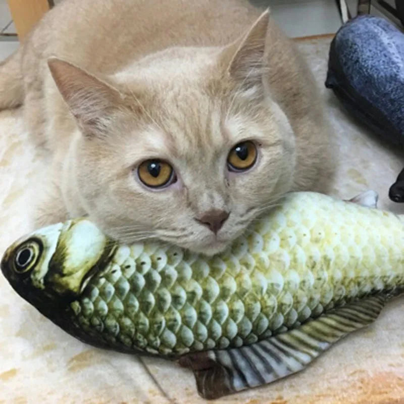 Simulation Fish Cat Toy – Soft Plush Catnip Interactive Toy