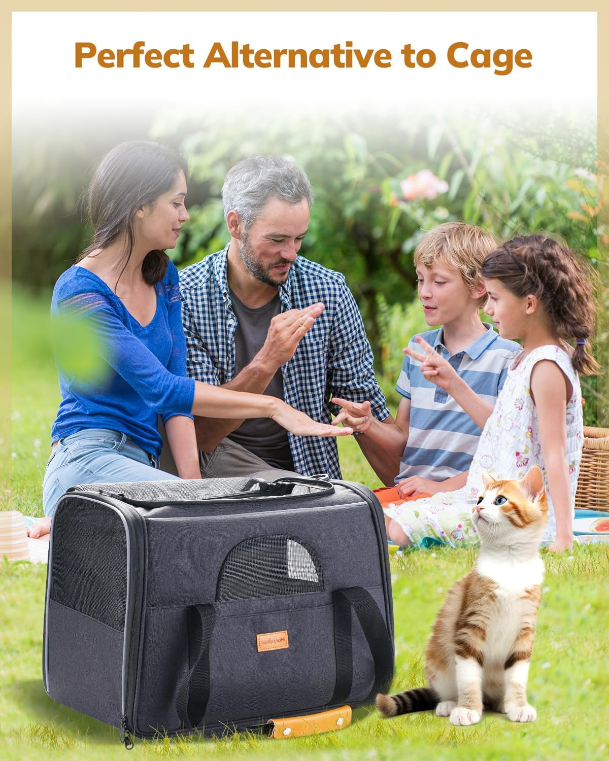 Premium Soft-Sided Cat Carrier for Large Cats- Airline Approved, Includes Foldable Bowl - Dark Gray