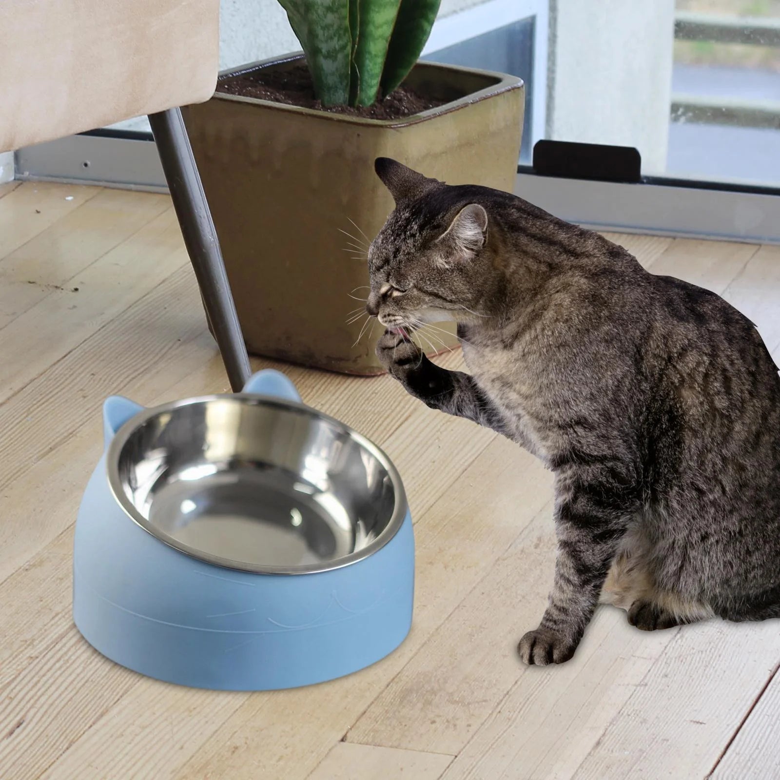 Elevated Cat Bowl – Stainless Steel & PP Raised Pet Food and Water Bowl