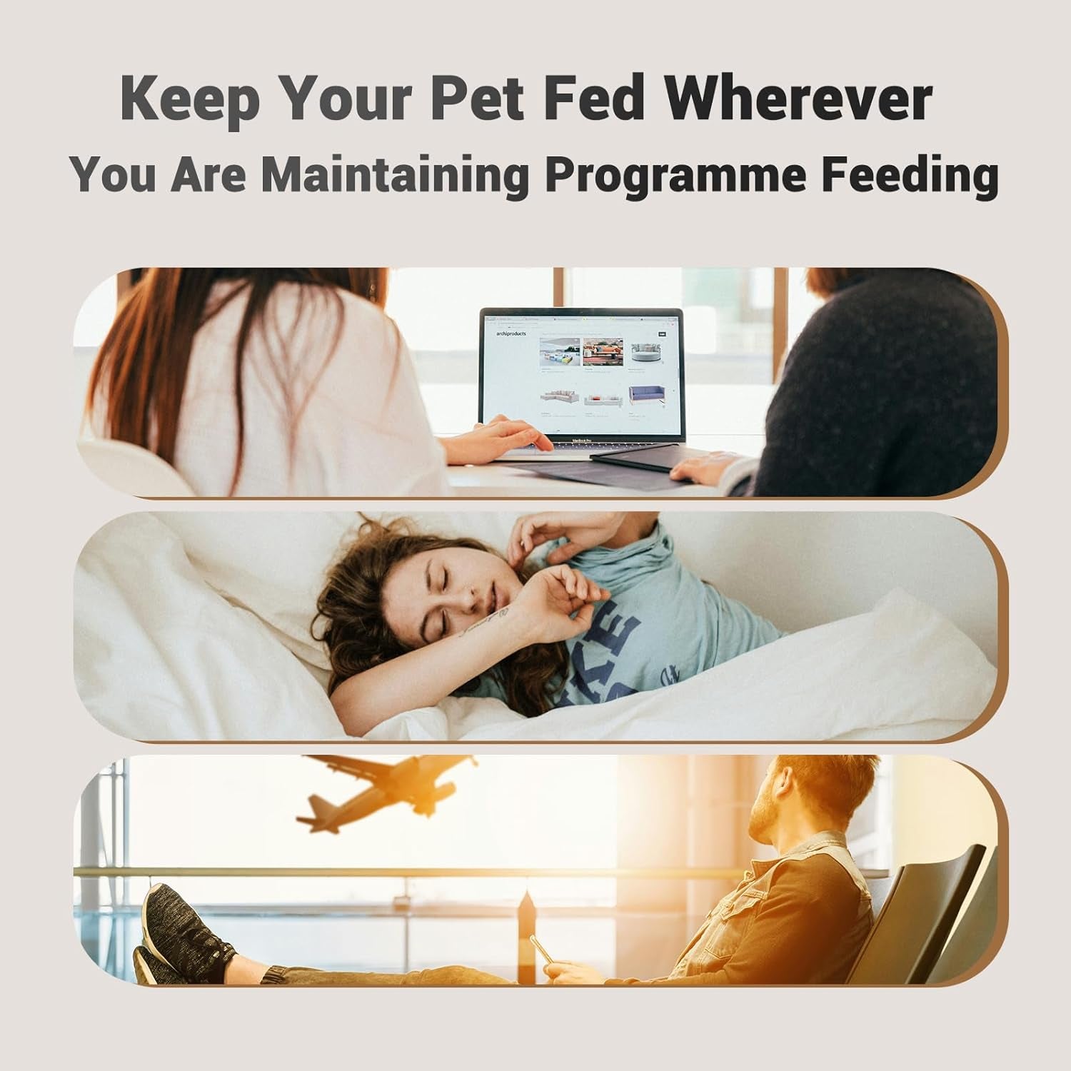 Smart Automatic Cat Feeder - Programmable 4L Dispenser for 1-6 Meals Daily