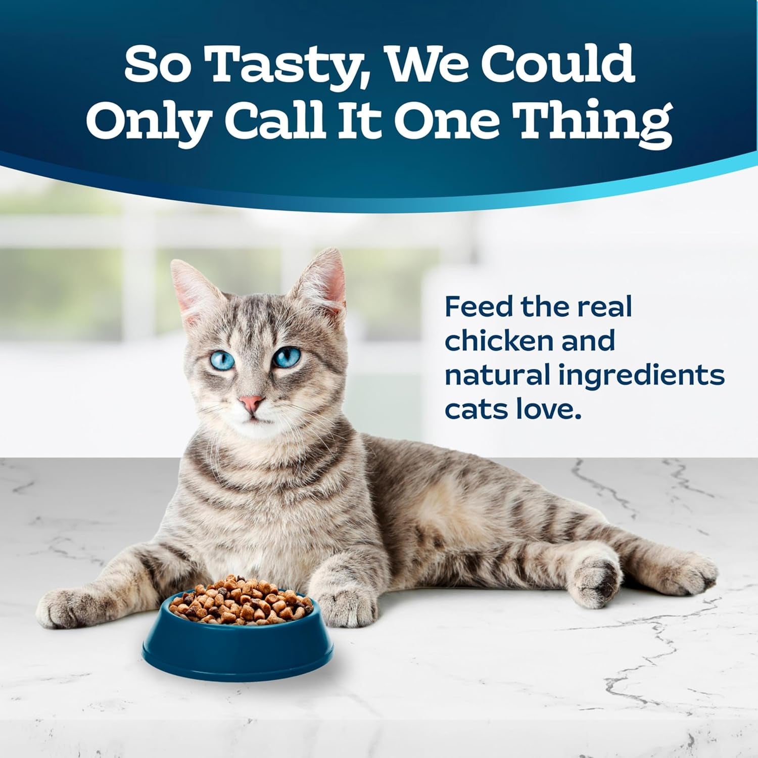 Tastefuls Natural Chicken & Brown Rice Dry Food for Adult Indoor Cats - 15-Lb Bag