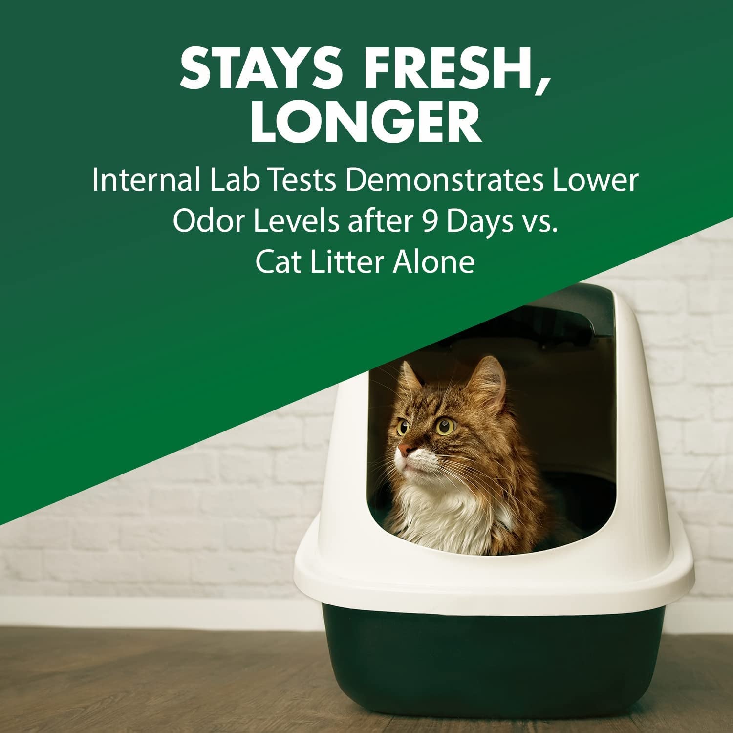 Cat Litter Deodorizer – Double Duty – 20 oz (1 Pack)