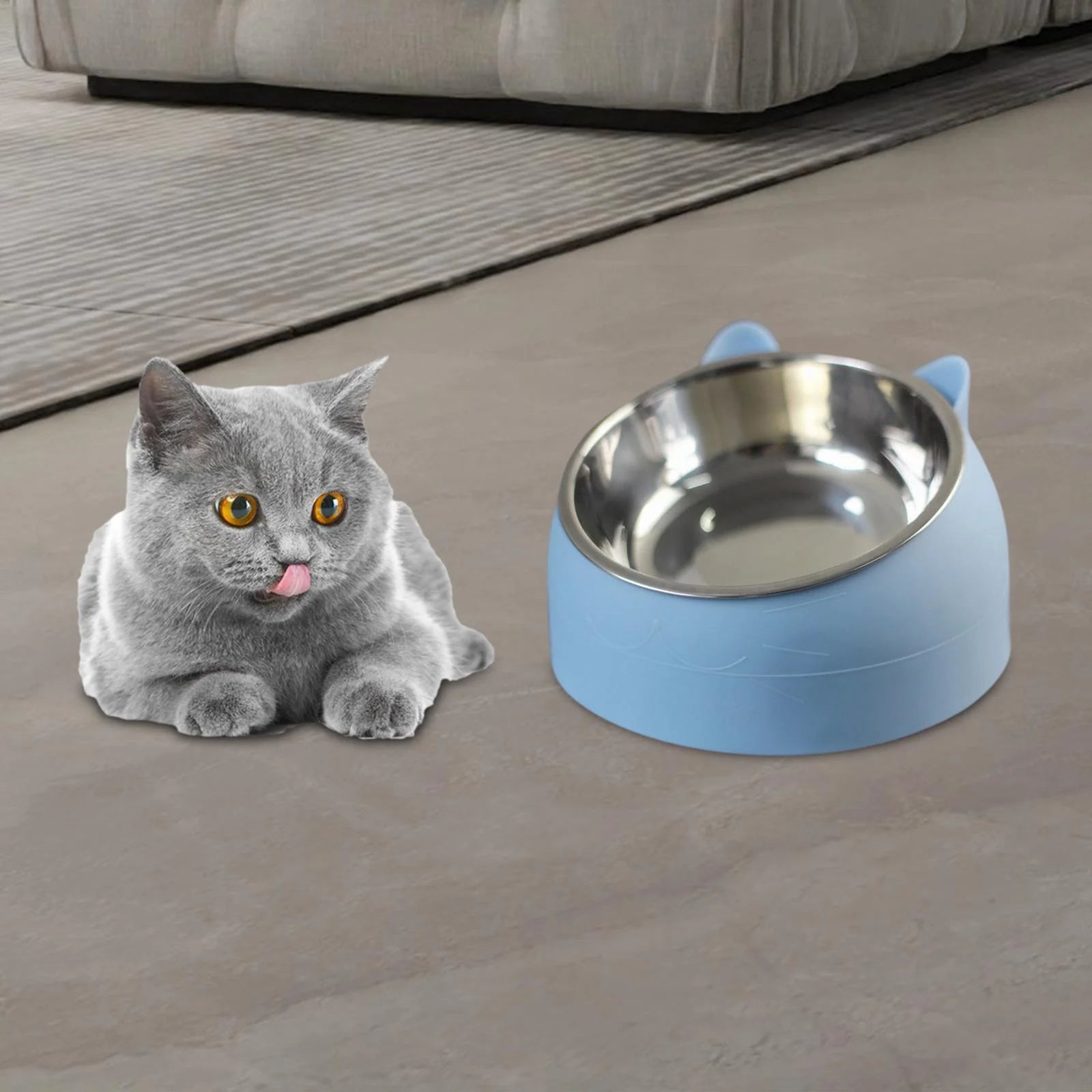 Elevated Cat Bowl – Stainless Steel & PP Raised Pet Food and Water Bowl