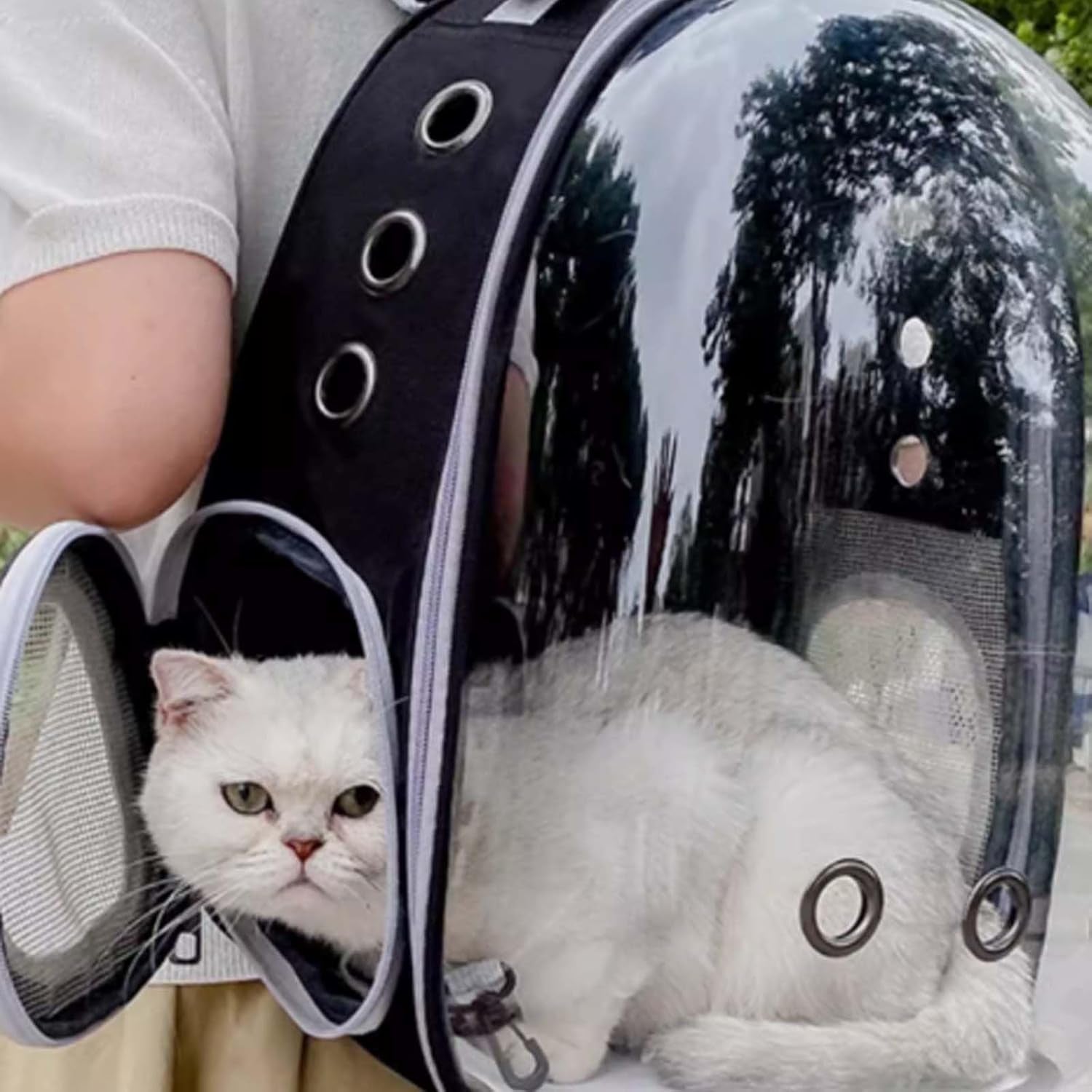 Airline Approved Cat  Backpack Carrier - Stylish Black Pet Travel Bag