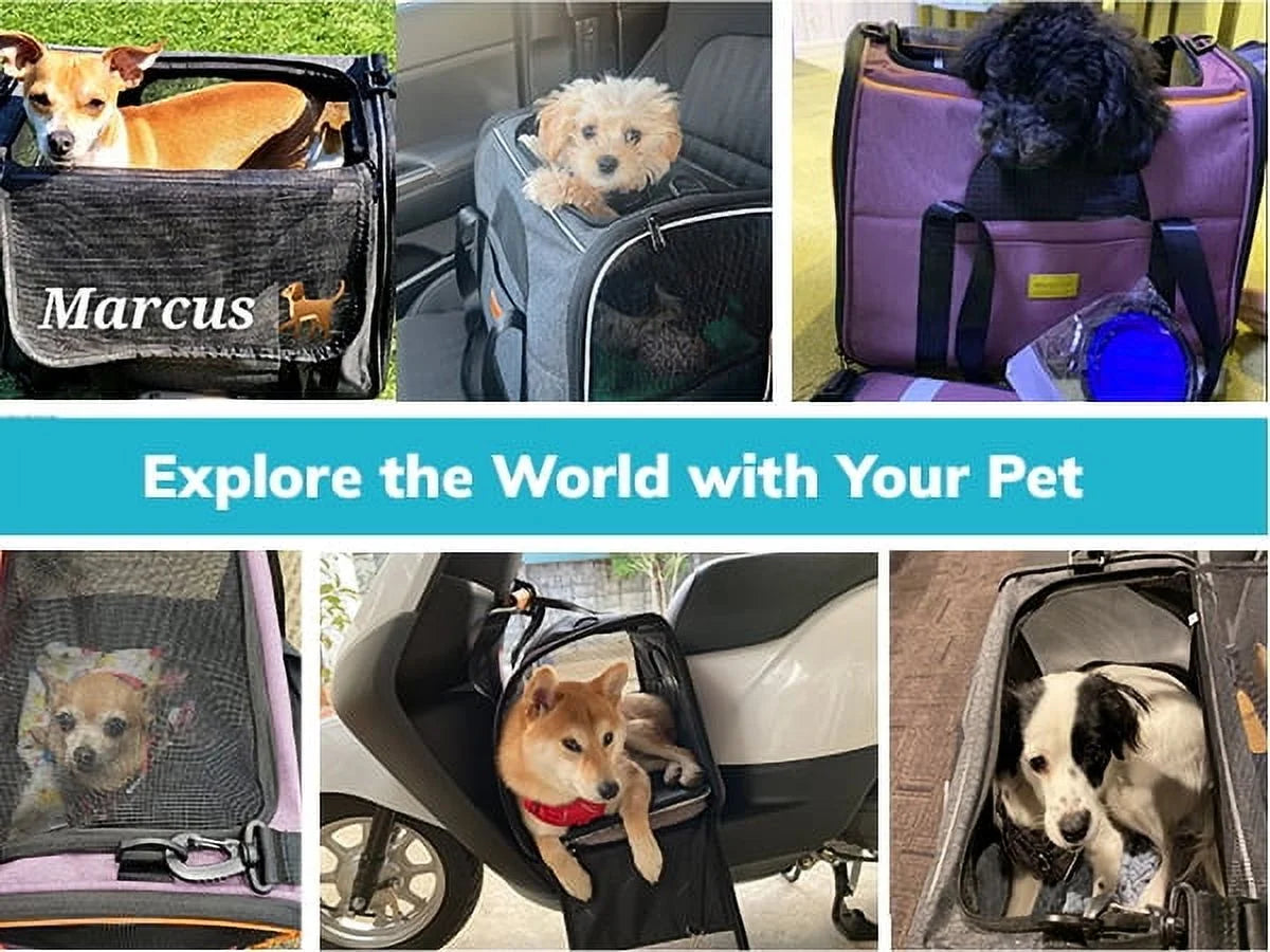 Spacious & Stylish Extra Large TSA Approved Cat Carrier - Soft Sided & up to 20LB with Water Bowl - Chic Purple Design