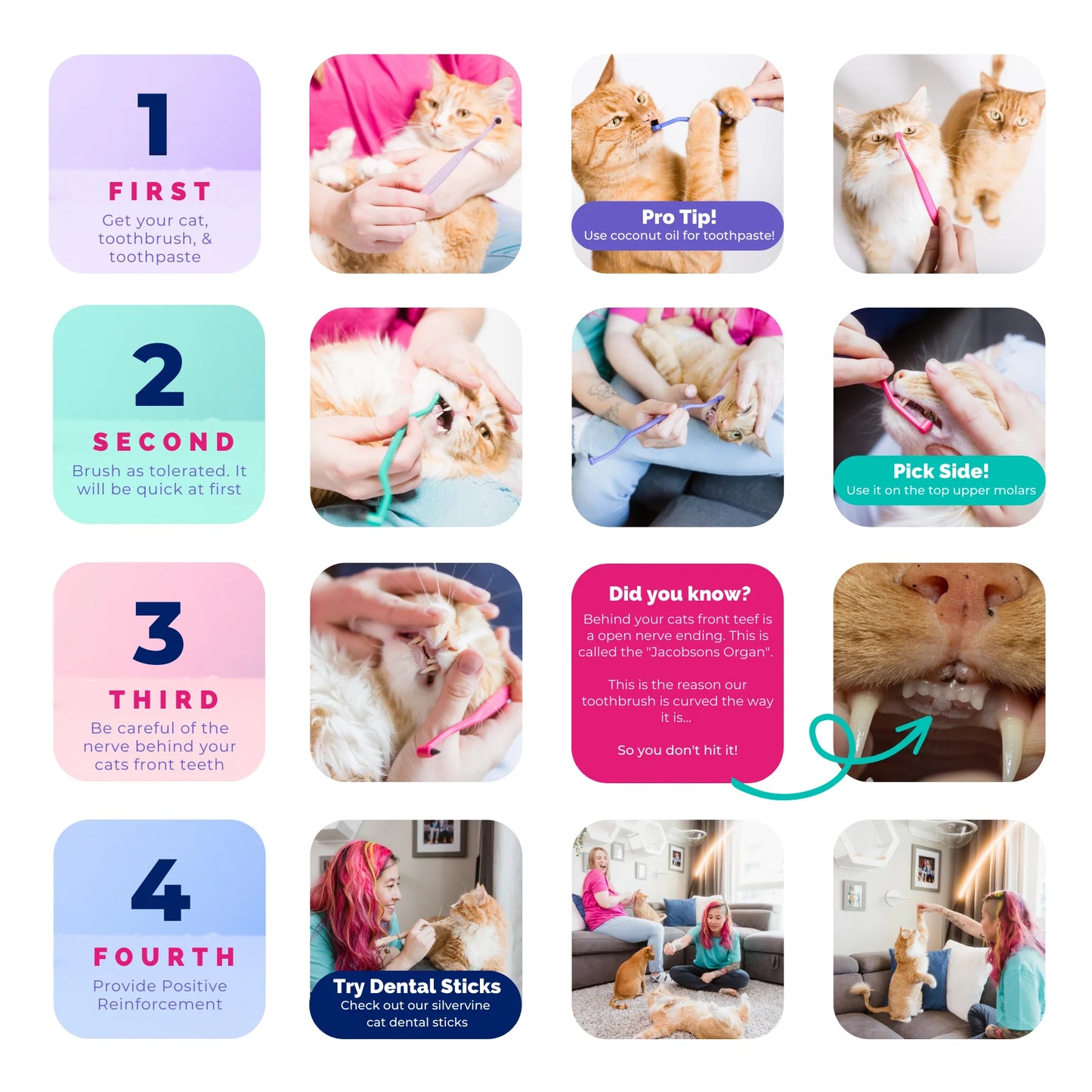 Premium Dual-Sided Cat Toothbrush – Expert Oral Care for Your Feline