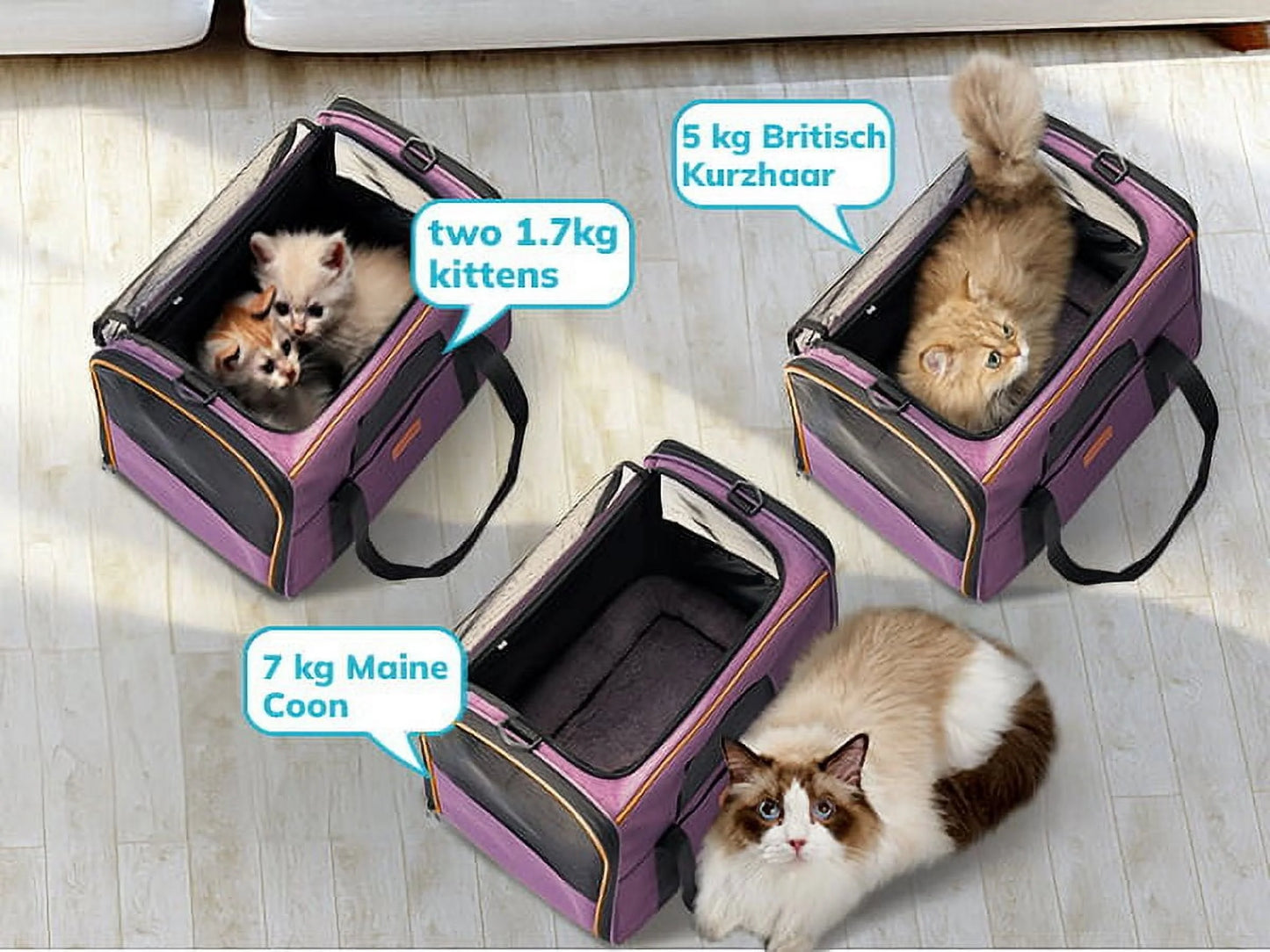 Spacious & Stylish Extra Large TSA Approved Cat Carrier - Soft Sided & up to 20LB with Water Bowl - Chic Purple Design