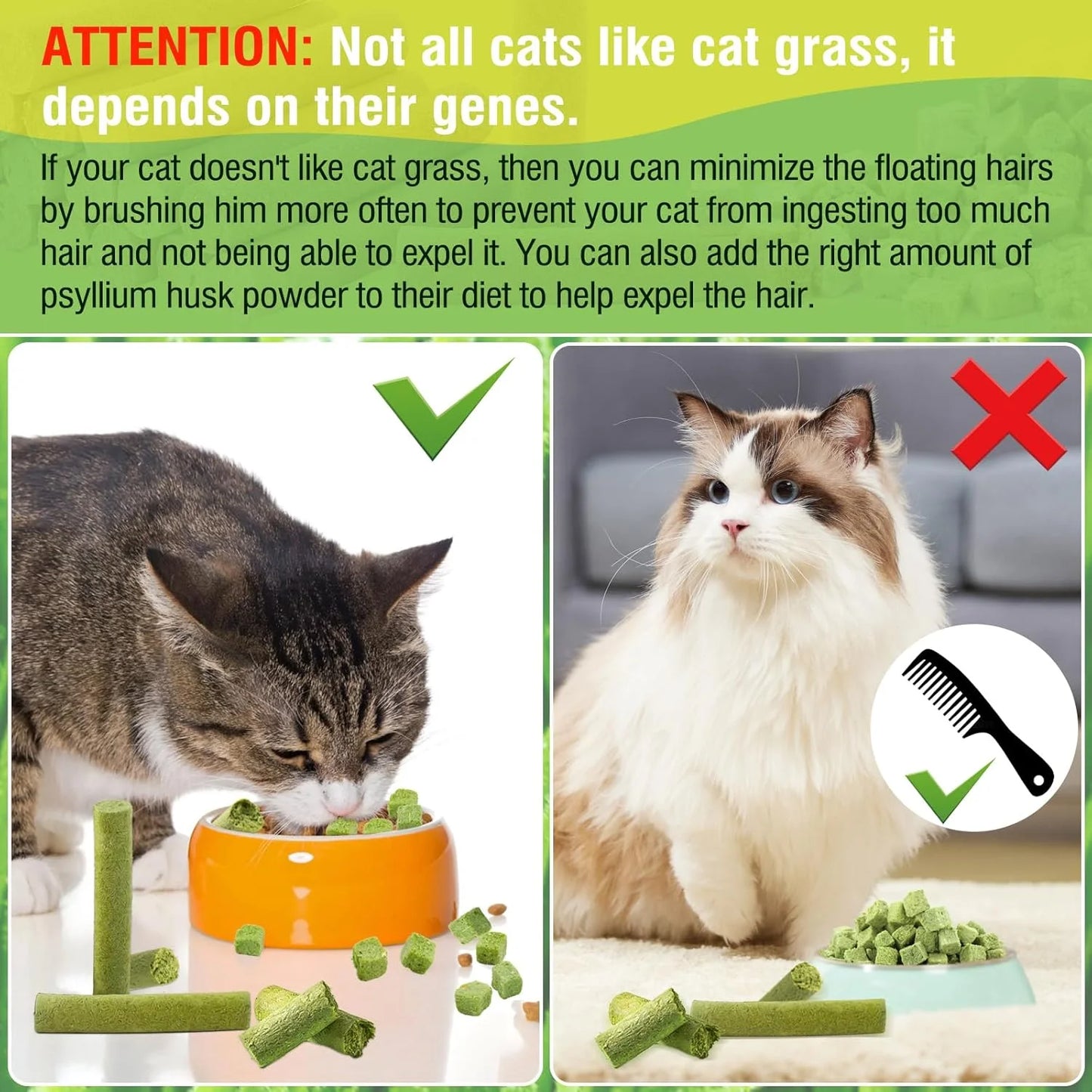 Natural Cat Grass Teething Sticks - 50g Edible Treats for Dental Care & Hairball Relief