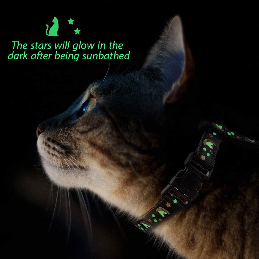 Glow-in-the-Dark Moon & Stars Cat Harness and Leash Set