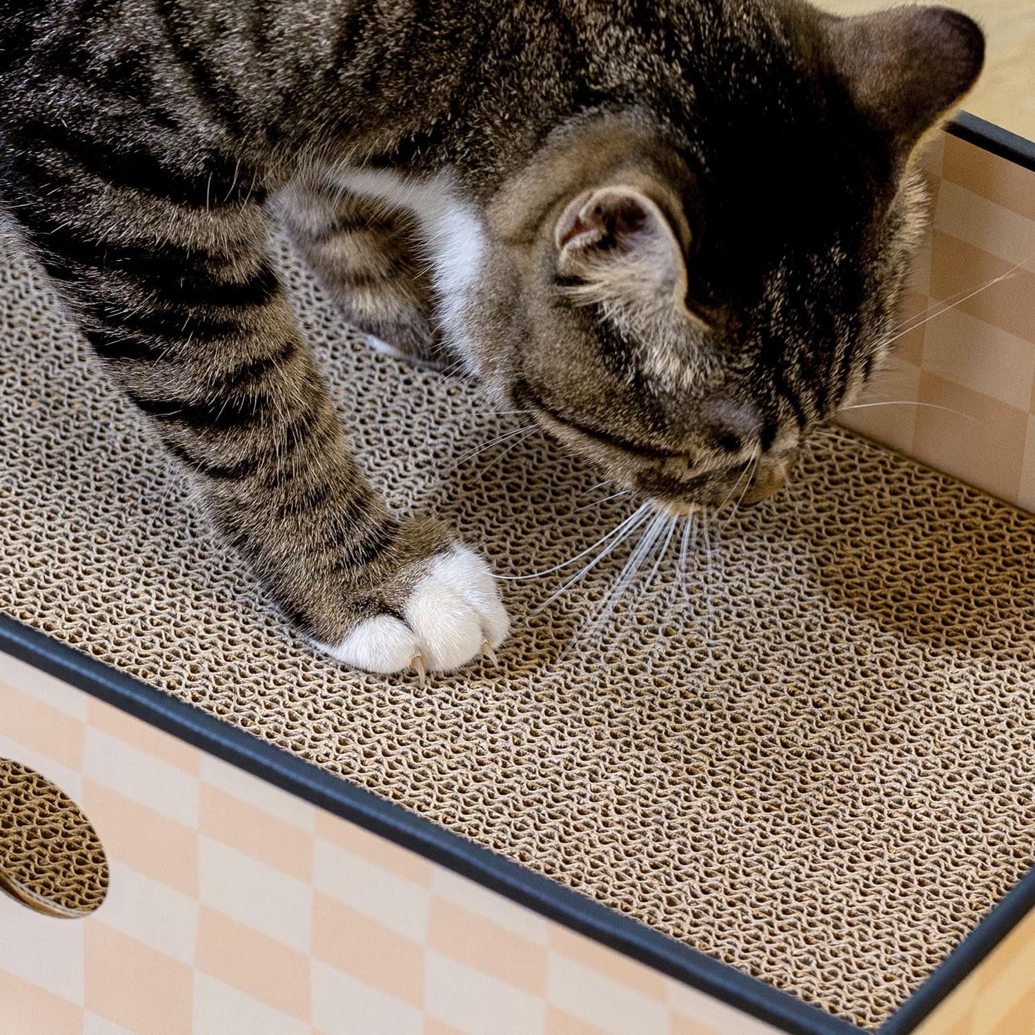 Cozy Cat Scratcher Box – 3-Layer Cardboard Lounge & Play Pad with Refillable Inserts