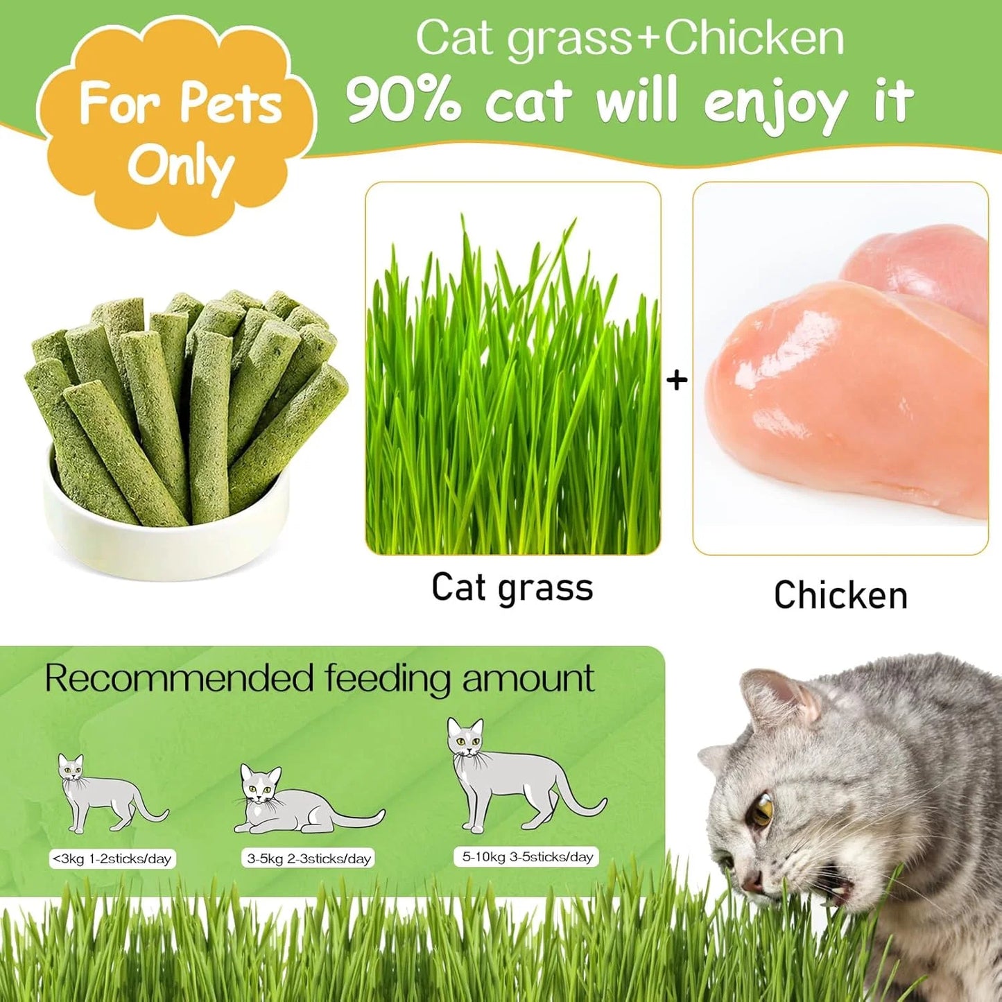 Natural Cat Grass Teething Sticks - 50g Edible Treats for Dental Care & Hairball Relief