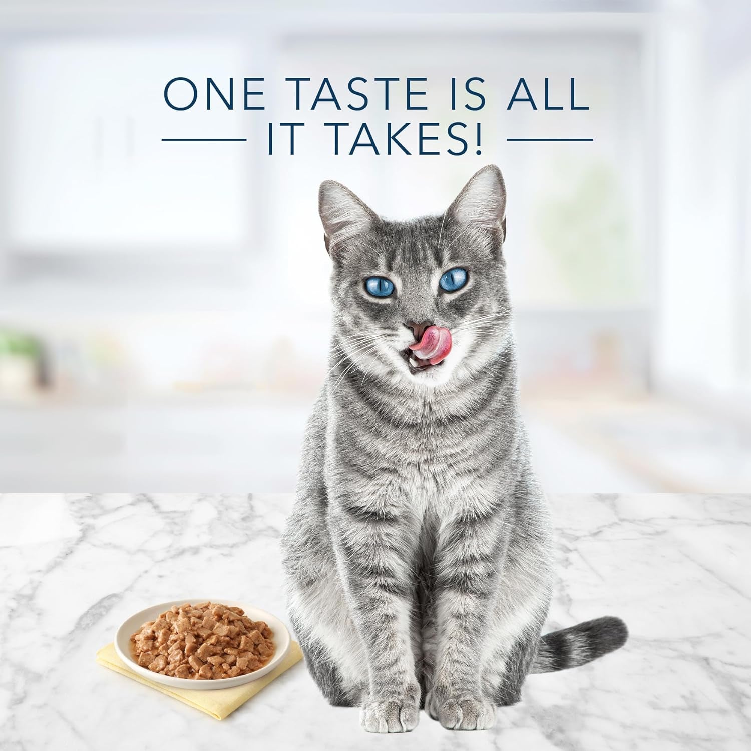Tuna Entrée in Gravy - Natural Flaked Wet Cat Food, 5.5-Oz Cans (24 Count)