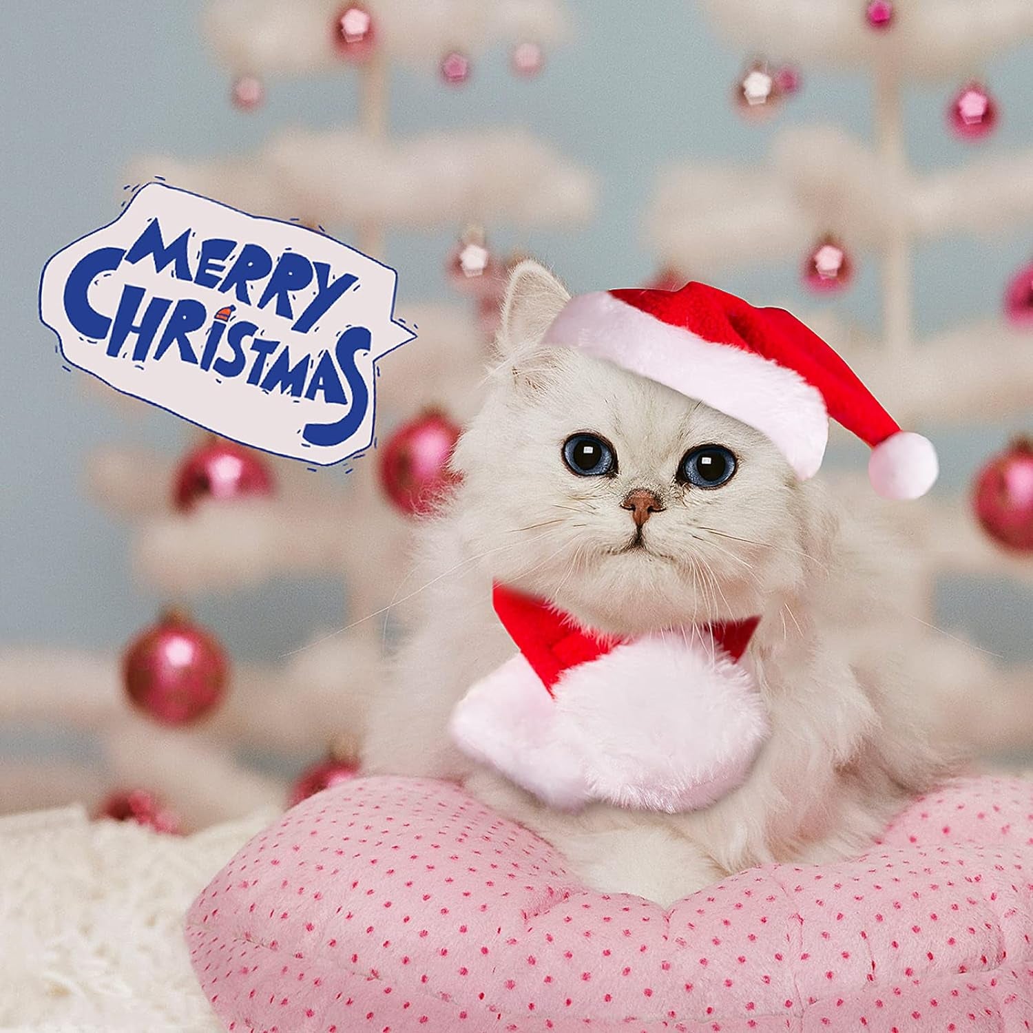 Adorable Cat Santa Hat & Scarf - Christmas Costume