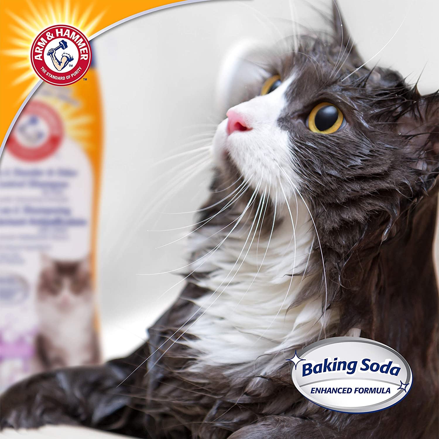 Arm & Hammer 2-in-1 Cat Shampoo & Deodorizer – 20 fl oz