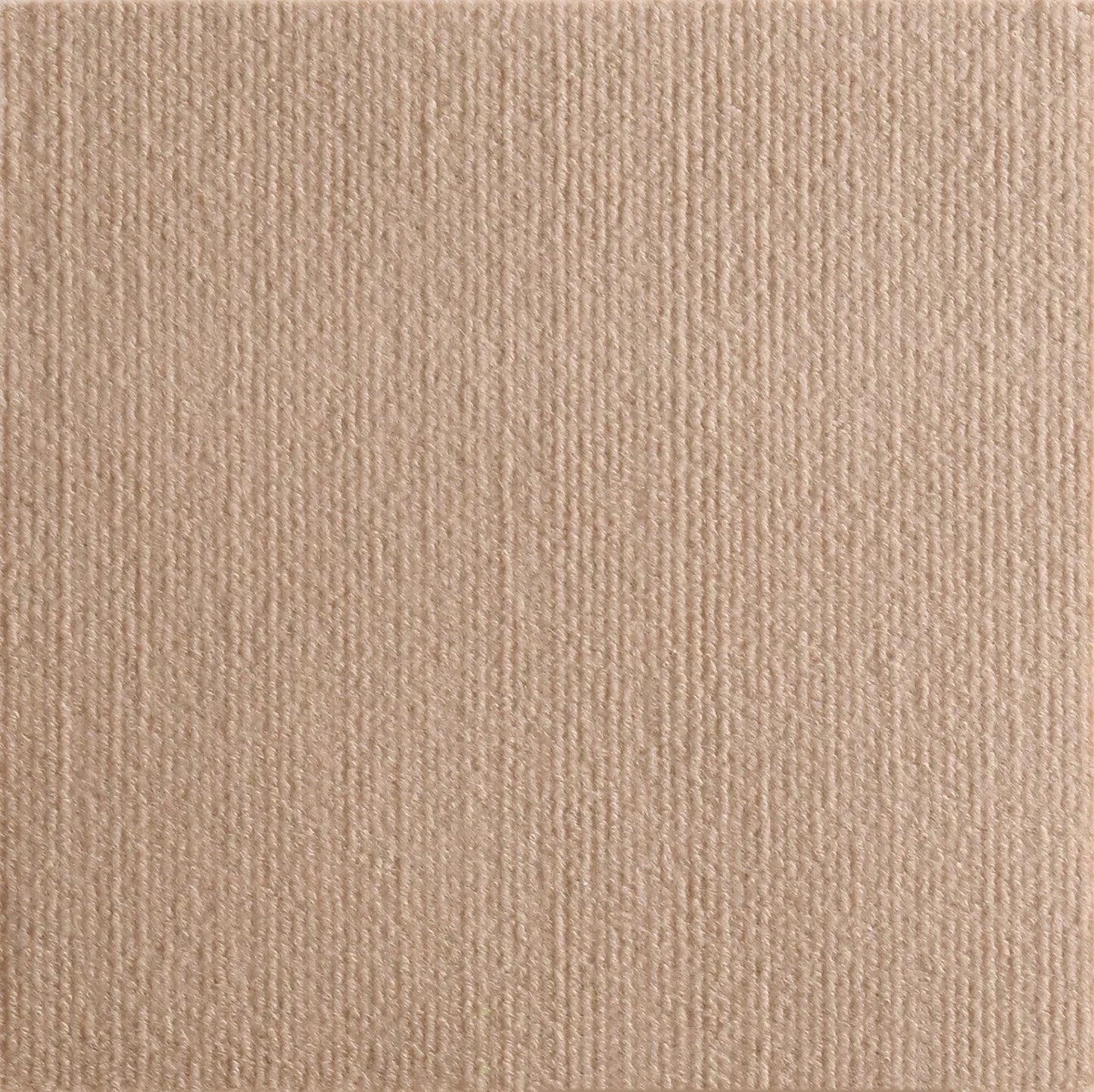 Cat Scratching Mat – Self-Adhesive & Trimmable Furniture Protector