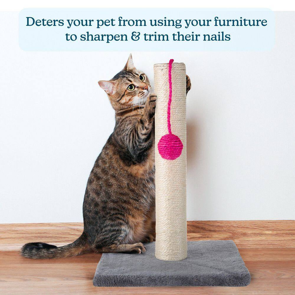 17" Cat Scratching Post with Plush Base & Hanging Toy