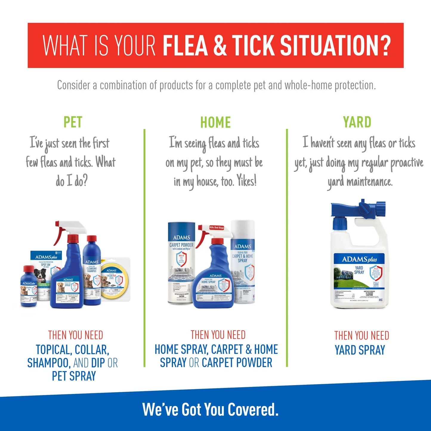 Flea & Tick Cleansing Shampoo for Cats and Kittens - Unscented Treatment, 12 Ounces